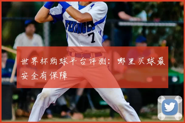 世界杯购球平台评测：哪里买球最安全有保障