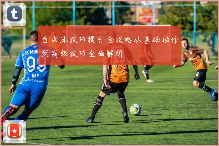 自由泳技巧提升全攻略从基础动作到高级技巧全面解析