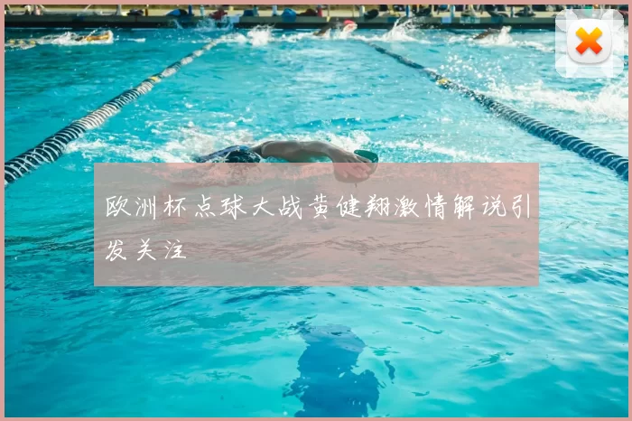 欧洲杯点球大战黄健翔激情解说引发关注
