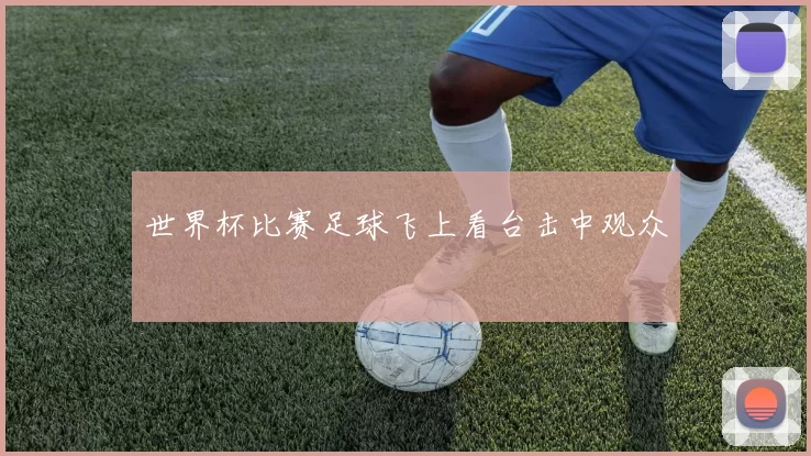 世界杯比赛足球飞上看台击中观众