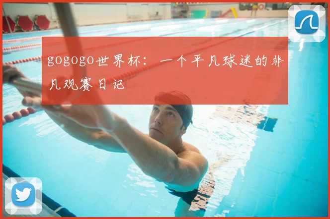 gogogo世界杯:一个平凡球迷的非凡观赛日记