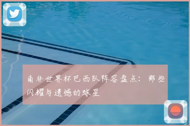 南非世界杯巴西队阵容盘点:那些闪耀与遗憾的球星