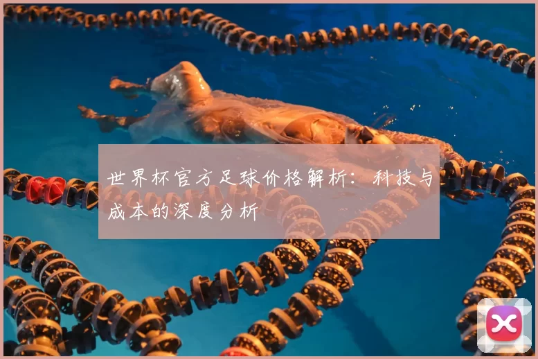 世界杯官方足球价格解析:科技与成本的深度分析