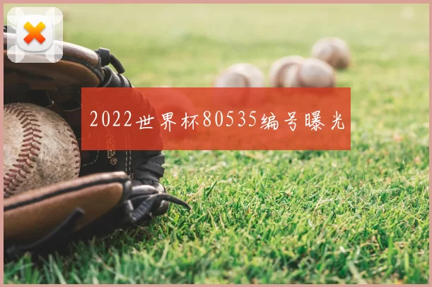 2022世界杯80535编号曝光