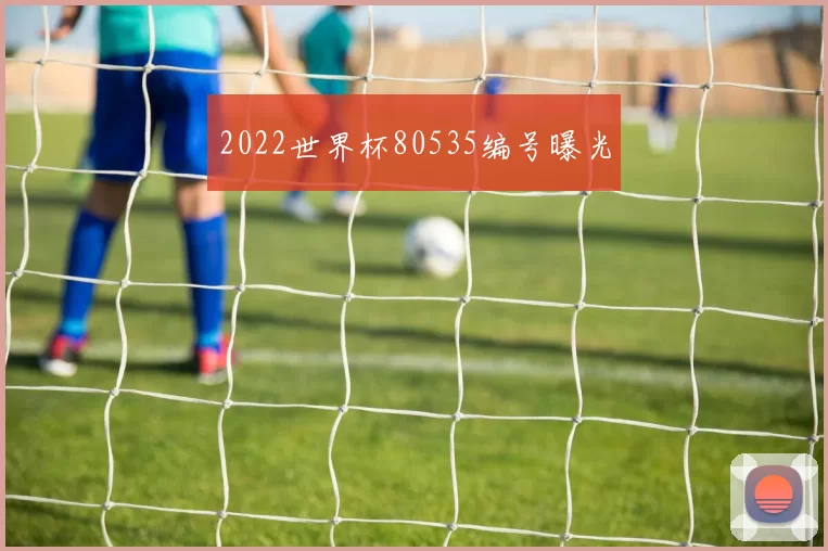 2022世界杯80535编号曝光
