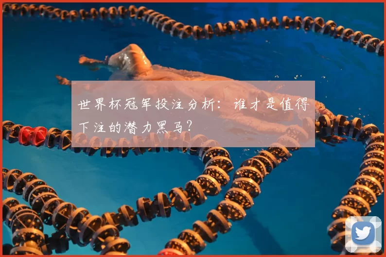 世界杯冠军投注分析:谁才是值得下注的潜力黑马?