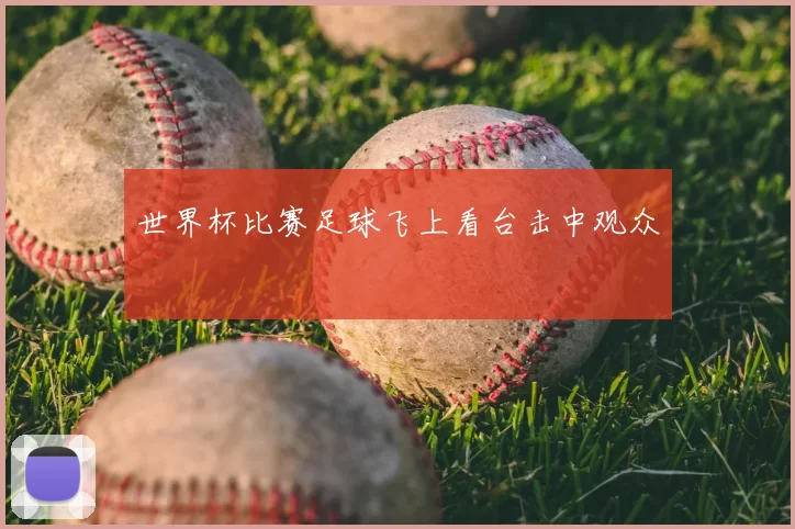 世界杯比赛足球飞上看台击中观众