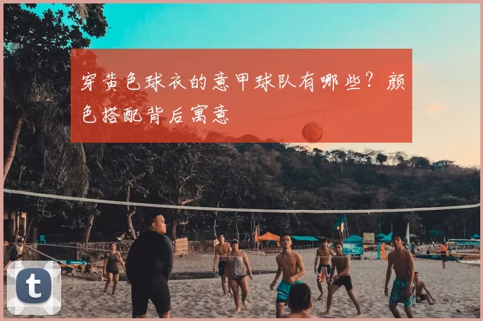 穿黄色球衣的意甲球队有哪些？颜色搭配背后寓意