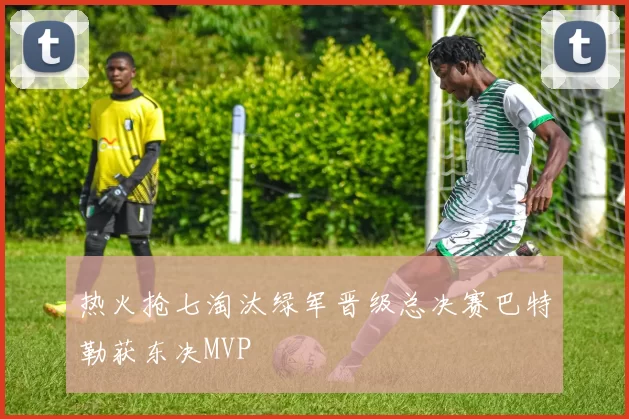 热火抢七淘汰绿军晋级总决赛巴特勒获东决MVP