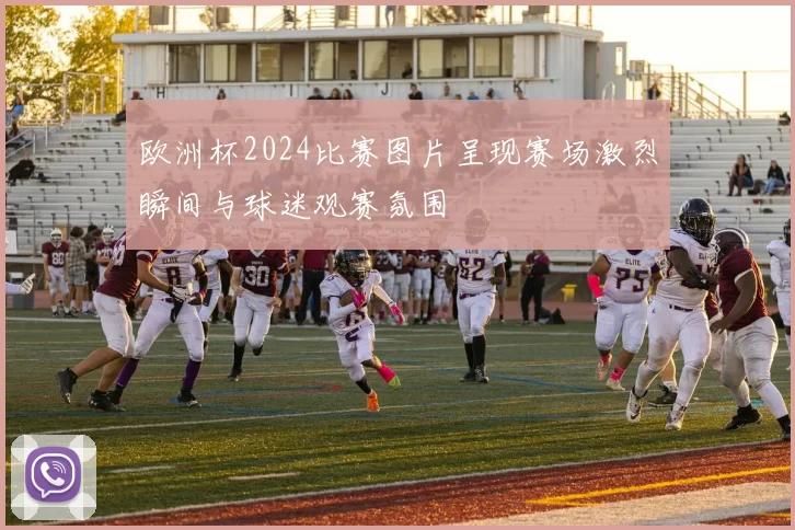 欧洲杯2024比赛图片呈现赛场激烈瞬间与球迷观赛氛围