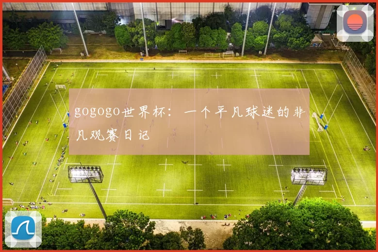gogogo世界杯:一个平凡球迷的非凡观赛日记