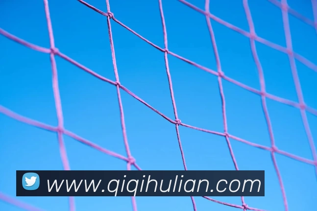 博亚官网APP 封面图